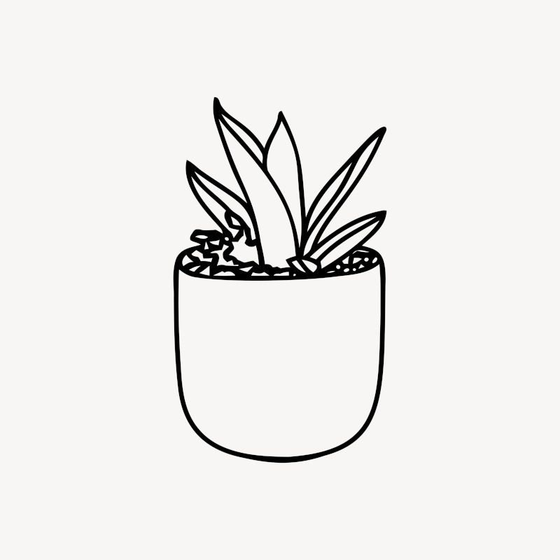 Succulent Plant Line Sketch